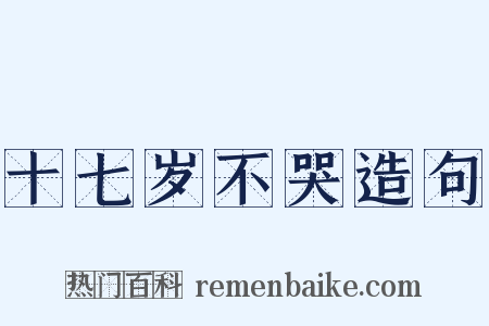 十七岁不哭造句是什么意思的图片